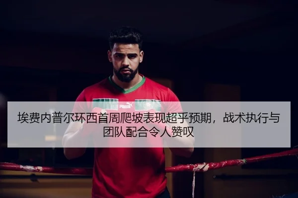 埃费内普尔环西首周爬坡表现超乎预期，战术执行与团队配合令人赞叹