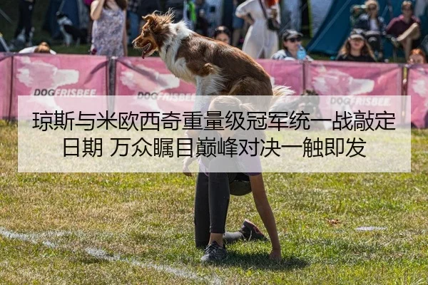 琼斯与米欧西奇重量级冠军统一战敲定日期 万众瞩目巅峰对决一触即发